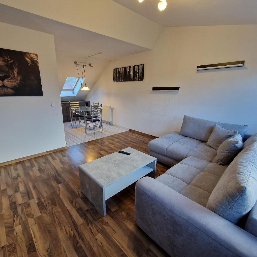 Dm Hotels & Apartments - Apartment Dosborn 5-9 Dingelstadt Dış mekan fotoğraf